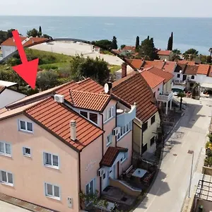 Ruzica Dajla